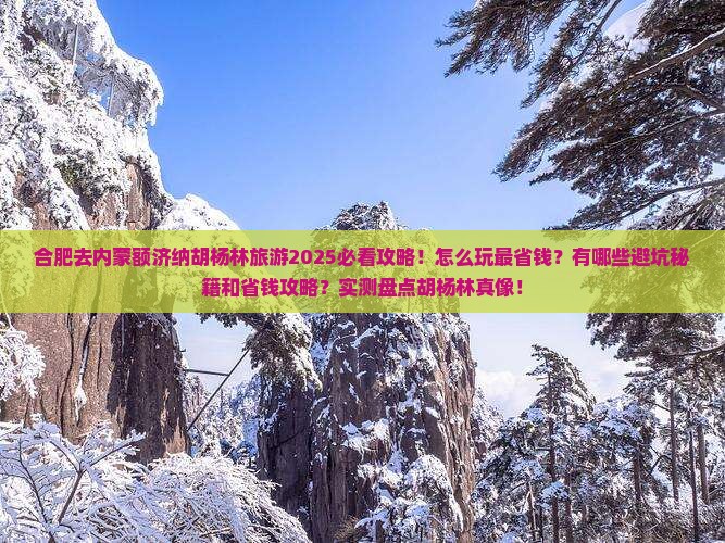 合肥去内蒙额济纳胡杨林旅游