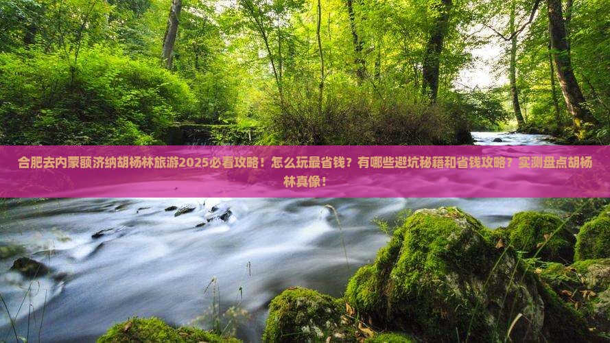 合肥去内蒙额济纳胡杨林旅游