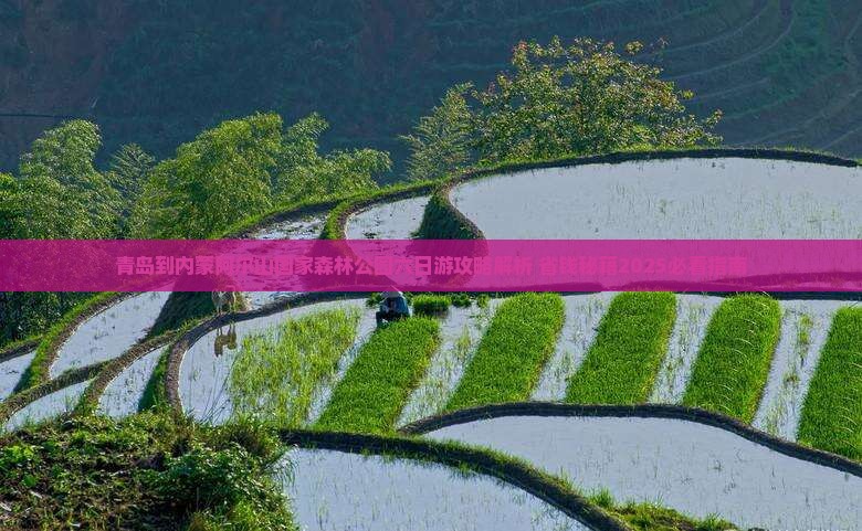 青岛到内蒙阿尔山国家森林公园六日游