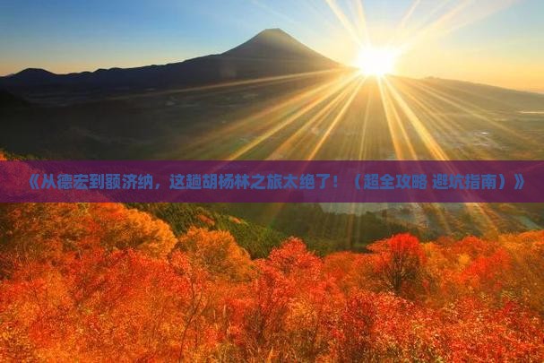 德宏到内蒙额济纳胡杨林六日游