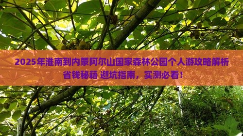 淮南到内蒙阿尔山国家森林公园个人游