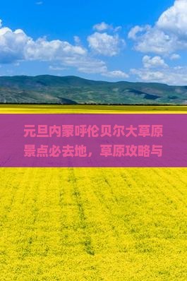 元旦去内蒙呼伦贝尔大草原必去地