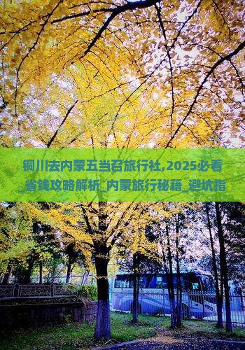 铜川去内蒙五当召旅行社