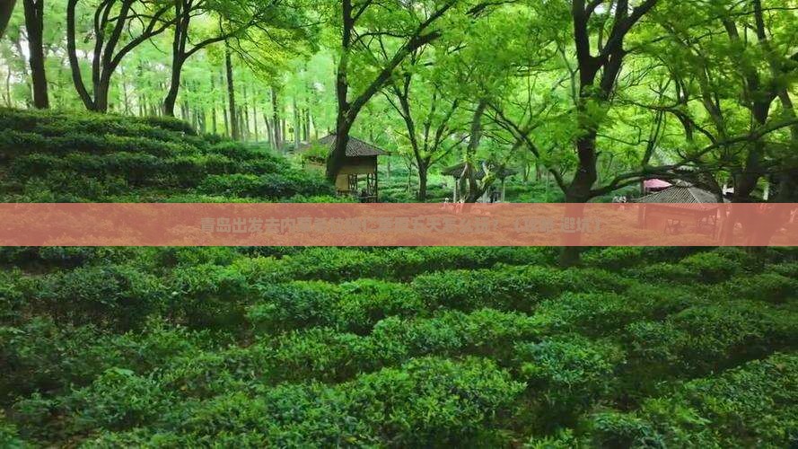 青岛去内蒙希拉穆仁草原五日游