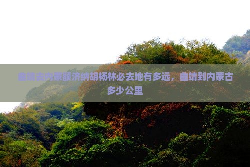 曲靖去内蒙额济纳胡杨林必去地