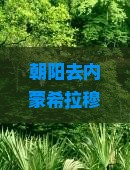 朝阳去内蒙希拉穆仁草原旅游小吃