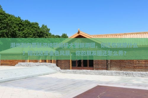 潮州到内蒙额济纳胡杨林大型旅游团