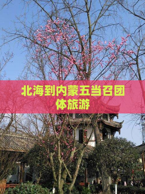 北海到内蒙五当召团体旅游