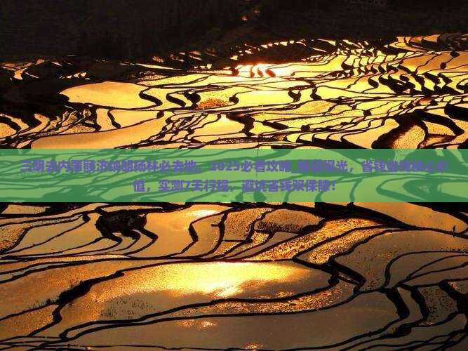 三明去内蒙额济纳胡杨林必去地