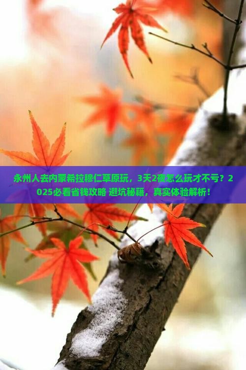 永州到内蒙希拉穆仁草原哪里玩
