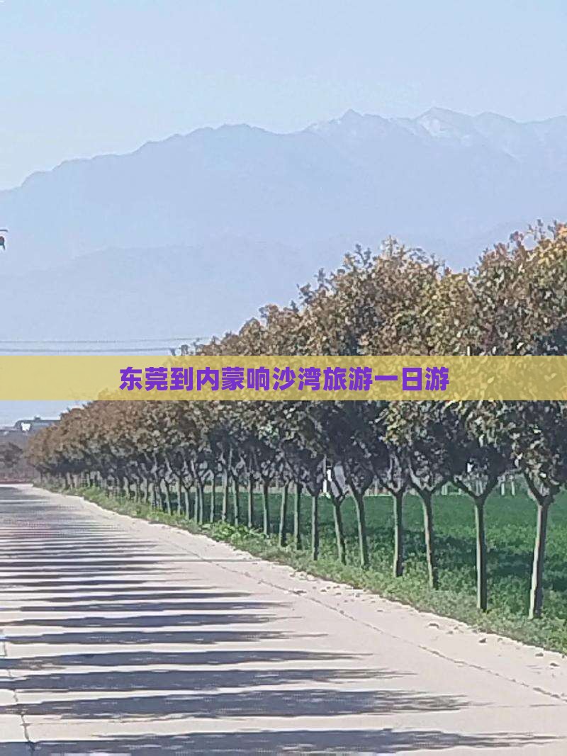 东莞到内蒙响沙湾一日游