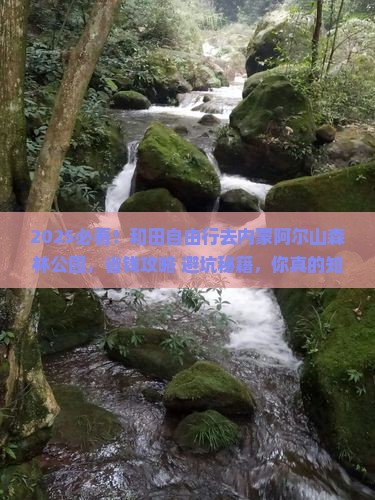 和田去内蒙阿尔山国家森林公园自由行