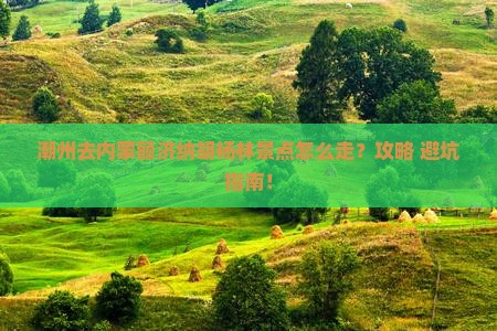 潮州去内蒙额济纳胡杨林景点