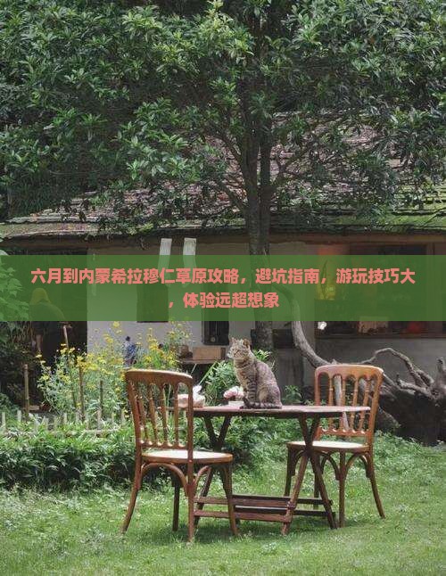 六月到内蒙希拉穆仁草原攻略