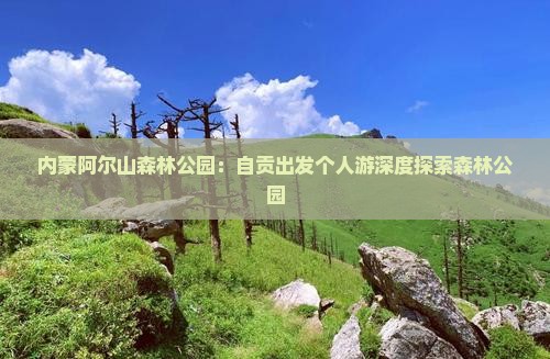 自贡到内蒙阿尔山国家森林公园个人游