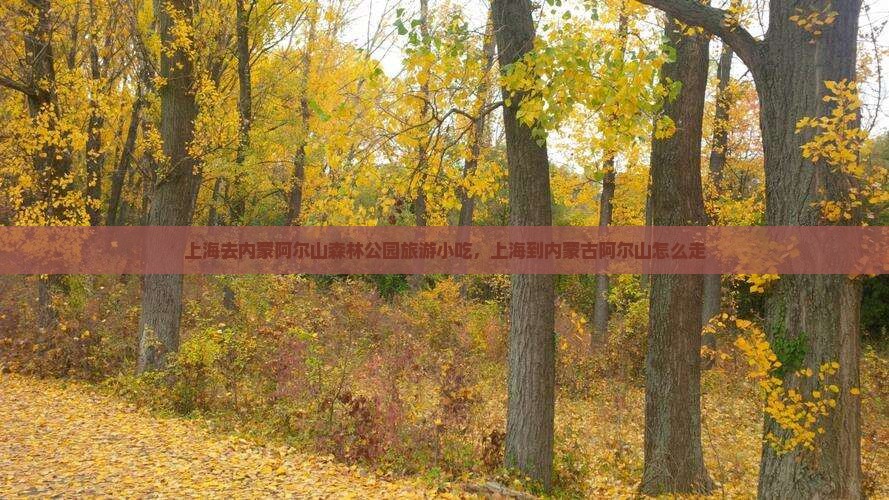 上海去内蒙阿尔山国家森林公园旅游小吃