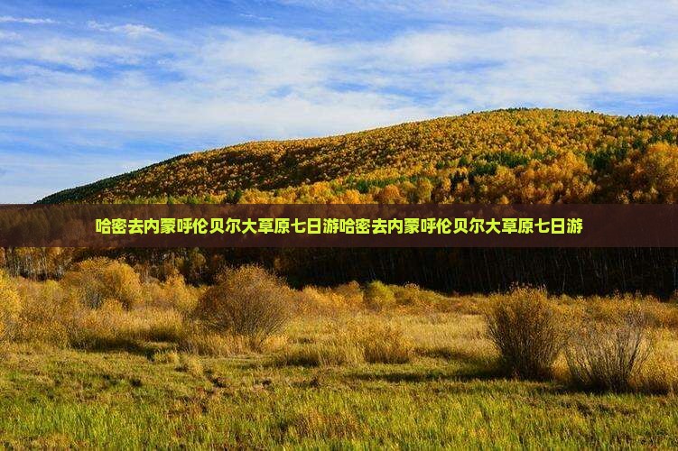 哈密去内蒙呼伦贝尔大草原七日游