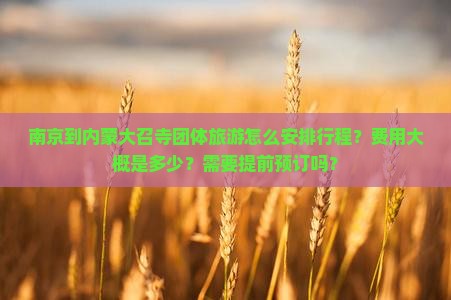南京到内蒙大召寺团体旅游怎么安排行程？费用大概是多少？需要提前预订吗？