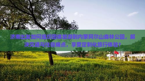 济南出发如何组织团体旅游到内蒙阿尔山森林公园，解决交通与住宿痛点，享受定制化旅行体验？