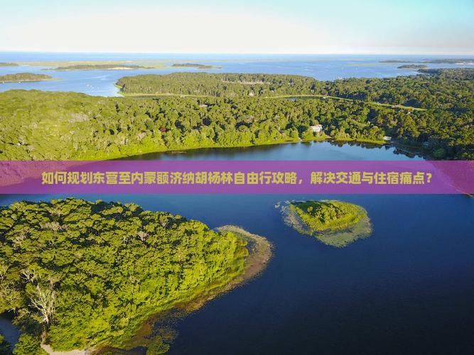 如何规划东营至内蒙额济纳胡杨林自由行攻略，解决交通与住宿痛点？