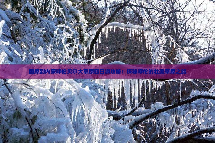 固原到内蒙呼伦贝尔大草原四日游攻略：探秘呼伦的壮美草原之旅