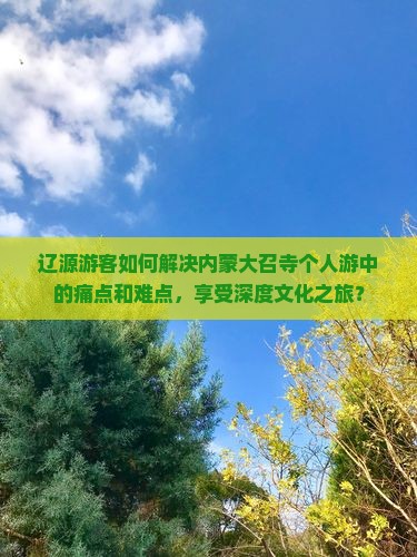 辽源游客如何解决内蒙大召寺个人游中的痛点和难点，享受深度文化之旅？