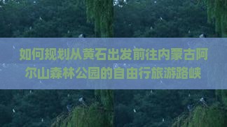 如何规划从黄石出发前往内蒙古阿尔山森林公园的自由行旅游路峡