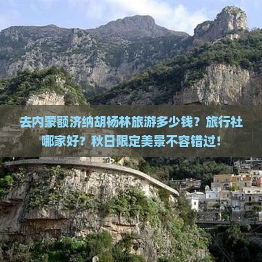 去内蒙额济纳胡杨林旅游多少钱？旅行社哪家好？秋日限定美景不容错过！