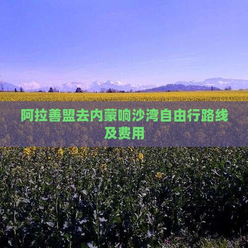 阿拉善盟去内蒙响沙湾自由行路线及费用