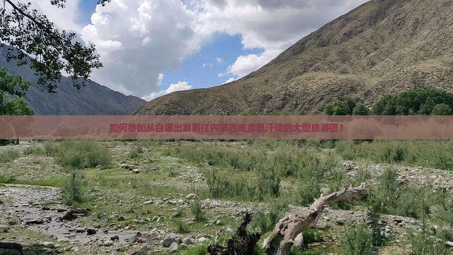 如何参加从白银出发前往内蒙古成吉思汗陵的大型旅游团？