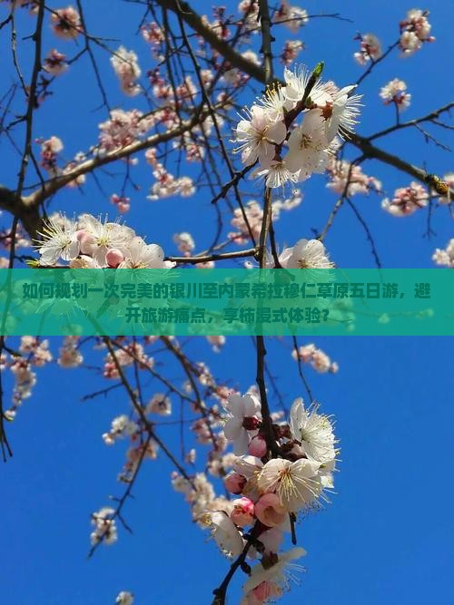 如何规划一次完美的银川至内蒙希拉穆仁草原五日游，避开旅游痛点，享柿浸式体验？