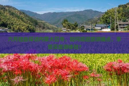 六月独自探访内蒙大召寺，如何规避旅游痛点，享受深度游体验？