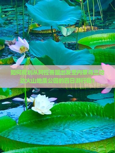 如何规划从阿拉善盟出发至内蒙乌兰哈达火山地质公园的四日游行程？