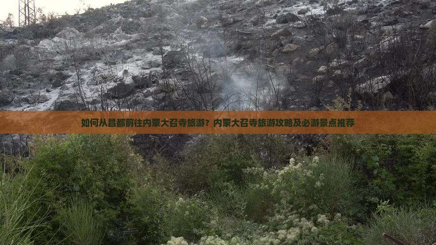 如何从昌都前往内蒙大召寺旅游？内蒙大召寺旅游攻略及必游景点推荐