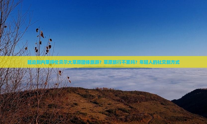 延边到内蒙呼伦贝尔大草原团体旅游？草原旅行不累吗？年轻人的社交新方式