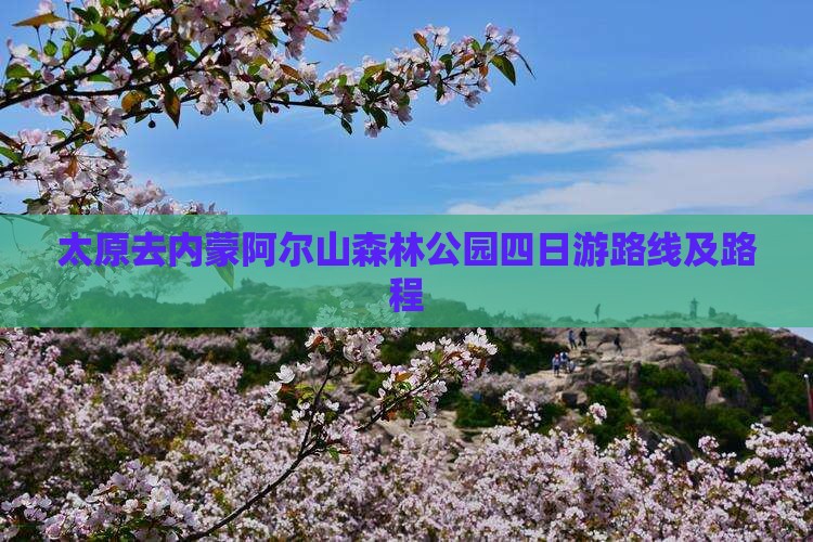 太原去内蒙阿尔山森林公园四日游路线及路程