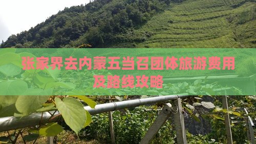 张家界去内蒙五当召团体旅游费用及路线攻略