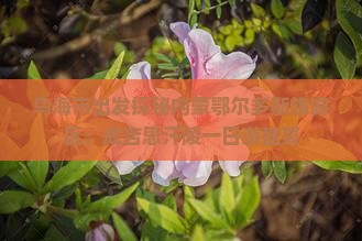 乌海市出发探秘内蒙鄂尔多斯旅游区：成吉思汗陵一日游盛宴