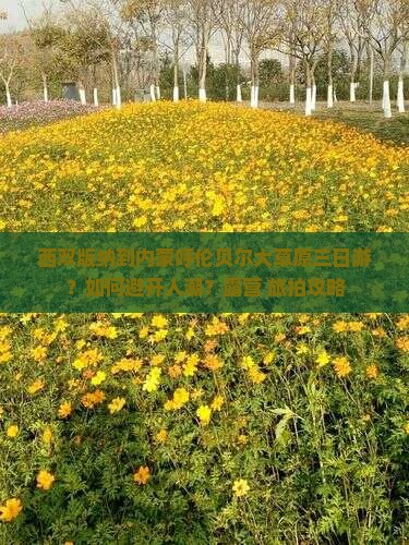 西双版纳到内蒙呼伦贝尔大草原三日游？如何避开人潮？露营+旅拍攻略