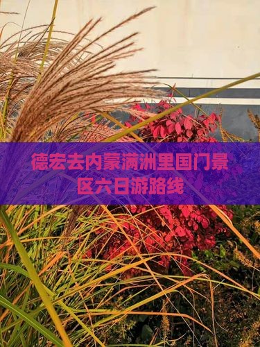 德宏去内蒙满洲里国门景区六日游路线