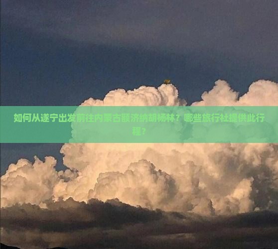 如何从遂宁出发前往内蒙古额济纳胡杨林？哪些旅行社提供此行程？