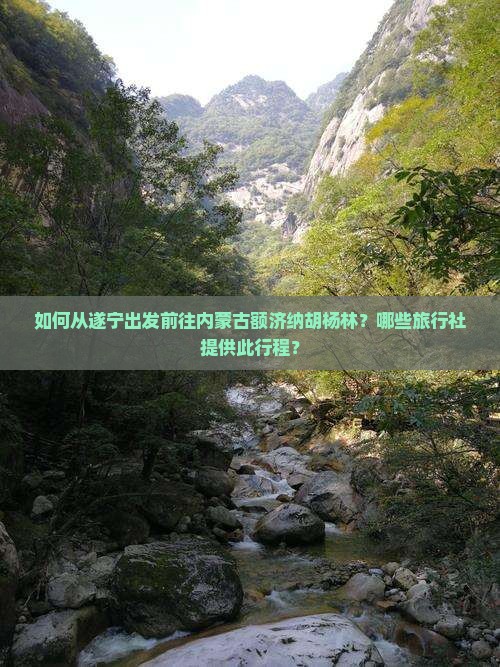 如何从遂宁出发前往内蒙古额济纳胡杨林？哪些旅行社提供此行程？