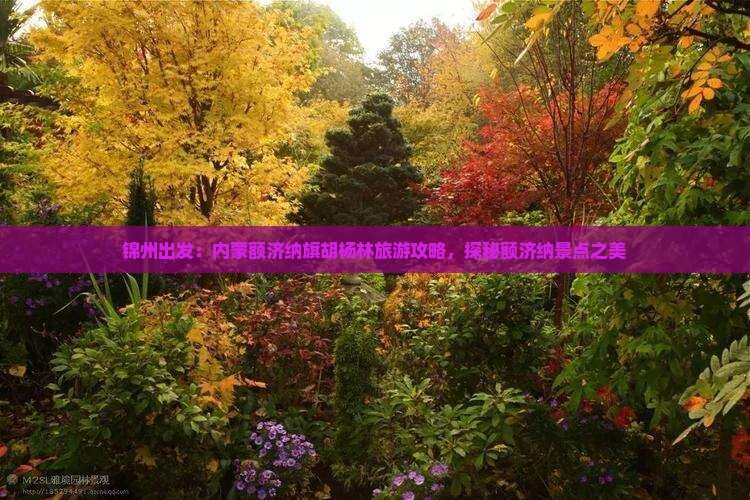 锦州出发：内蒙额济纳旗胡杨林旅游攻略，探秘额济纳景点之美