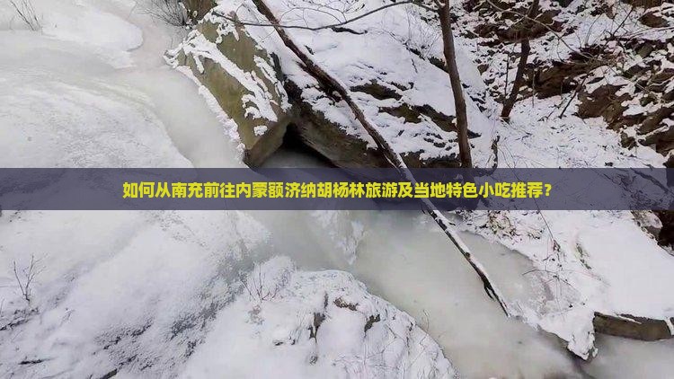 如何从南充前往内蒙额济纳胡杨林旅游及当地特色小吃推荐？
