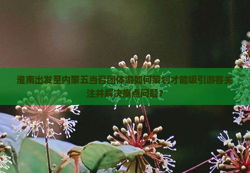 淮南出发至内蒙五当召团体游如何策划才能吸引游客关注并解决痛点问题？