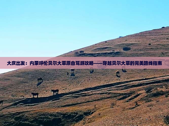大庆出发：内蒙呼伦贝尔大草原自驾游攻略——穿越贝尔大草的完美路线指南