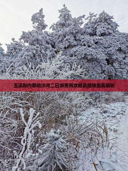 玉溪到内蒙响沙湾二日游费用攻略及路线距离解析