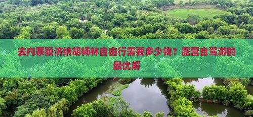 去内蒙额济纳胡杨林自由行需要多少钱？露营自驾游的最优解