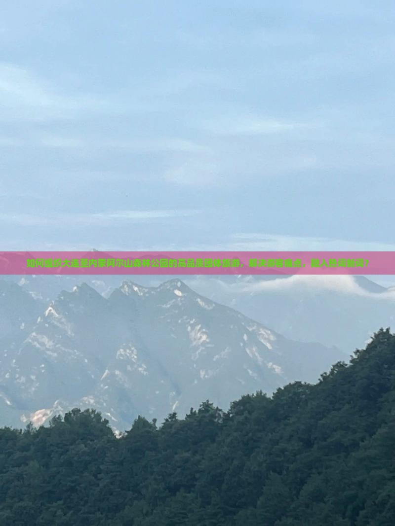 如何组织大连至内蒙阿尔山森林公园的高品质团体旅游，解决游客痛点，融入热词新词？