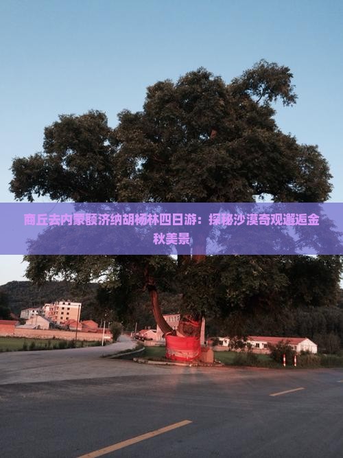 商丘去内蒙额济纳胡杨林四日游：探秘沙漠奇观邂逅金秋美景